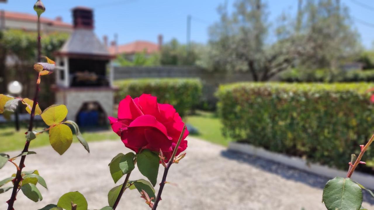 Elina House And Garden Villa นิกิติ ภายนอก รูปภาพ